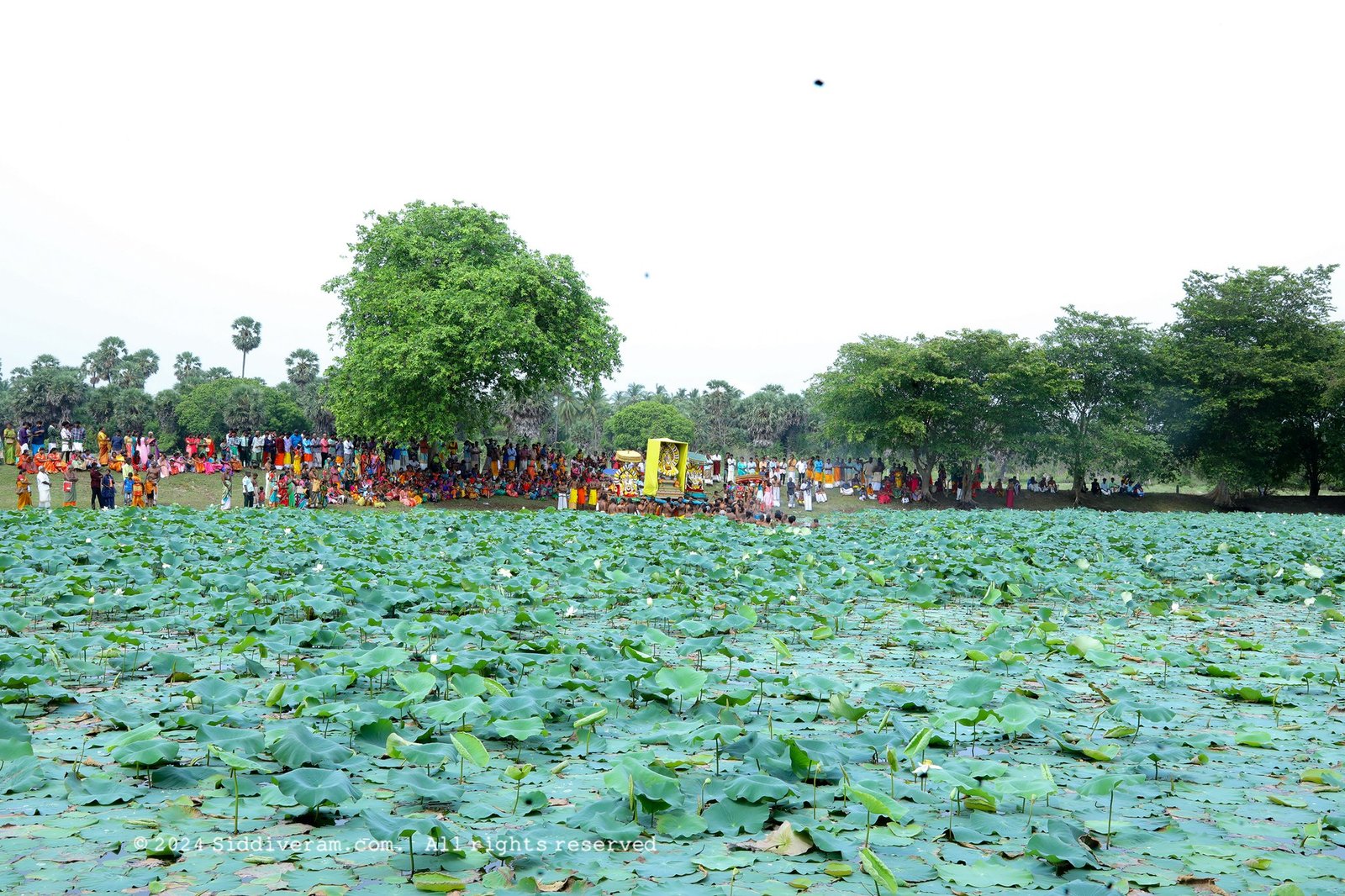 தீர்த்தத்திருவிழா